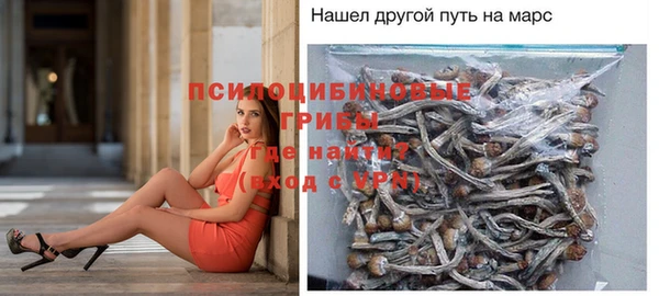 соль курить ск Алзамай