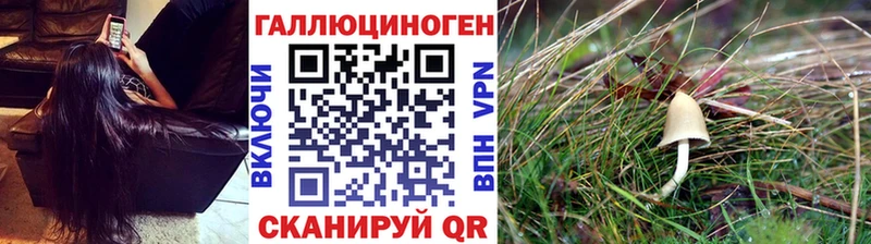 закладки  Льгов  это наркотические препараты  Псилоцибиновые грибы Cubensis  гидра зеркало 